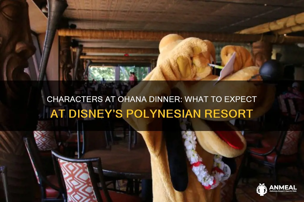 are there characters at ohana dinner