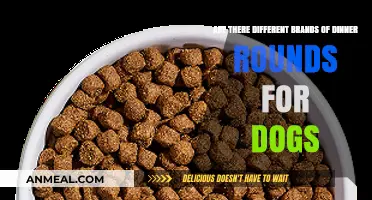 Exploring Dog Dinner Round Brands: Options, Quality, and Nutritional Benefits