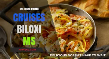 Discover Biloxi's Dinner Cruises: A Guide to Evening Sailing & Dining