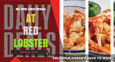 Savoring Savings: Red Lobster's Lunch Specials Unveiled