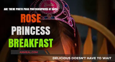 Photo Pass Photographers at Napa Rose Princess Breakfast?