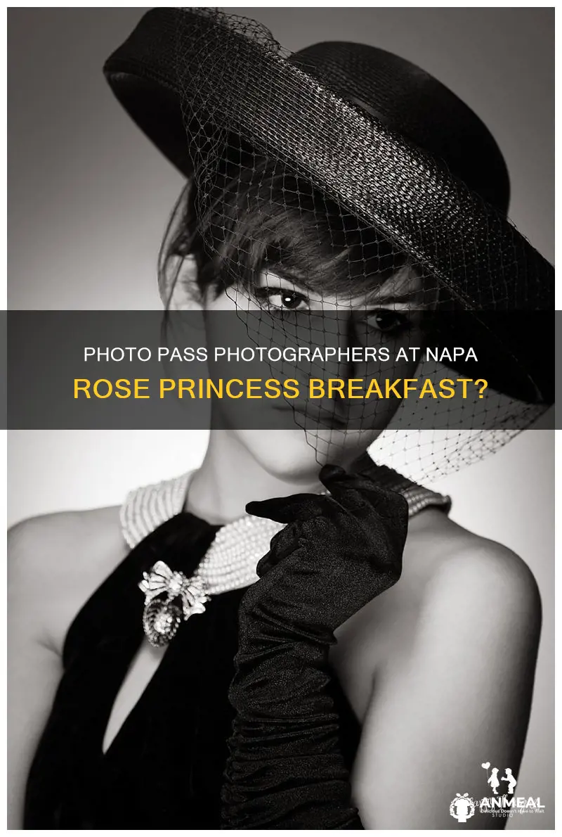 are there photo pass photographers at napa rose princess breakfast