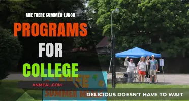 Exploring Summer Lunch Options for College Students