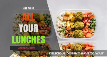 Beyond the Lunchbox: A Peek into My Daily Meals