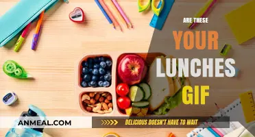 GIFs Galore: Unpacking the Hilarious 'Are These Your Lunches?' Trend