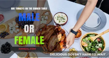 Turkey Gender Unveiled: Are Males or Females on Your Dinner Table?