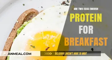 Eggs for Breakfast: Enough Protein or Not?
