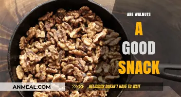Crunchy, Nutritious, and Delicious: Are Walnuts the Perfect Snack?