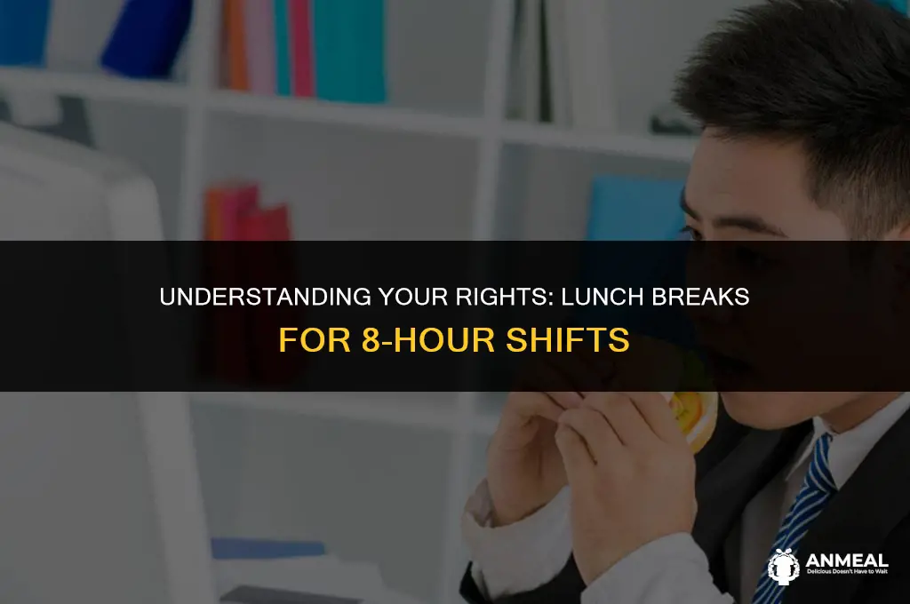 are you allowed a lunch for 8hr shift