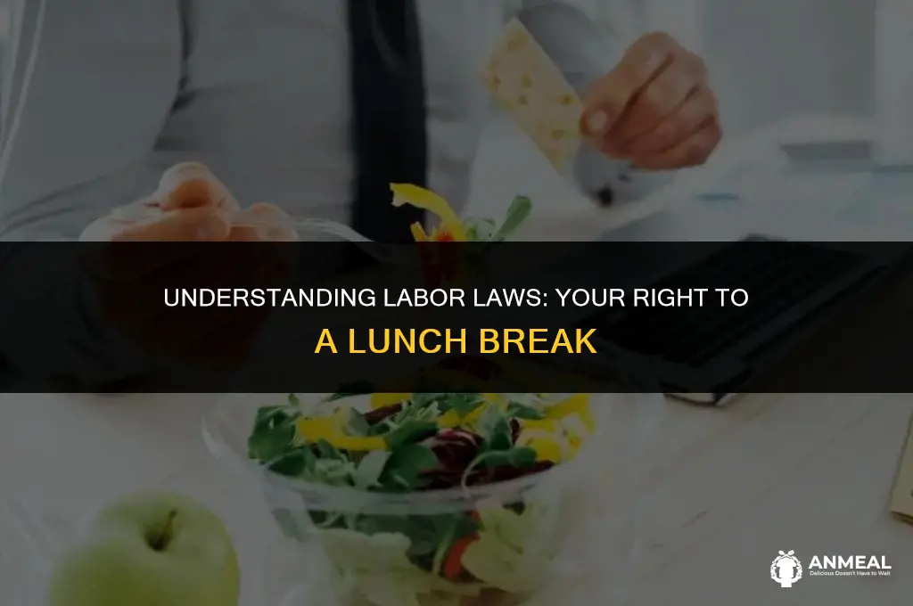 are you allowed to work 8 hours without a lunch