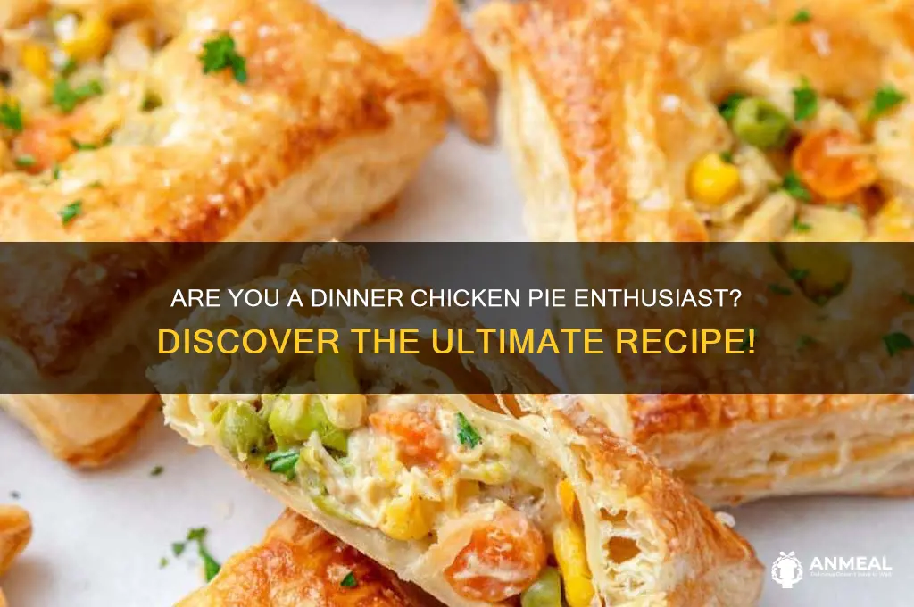 are you dinner chicken pie