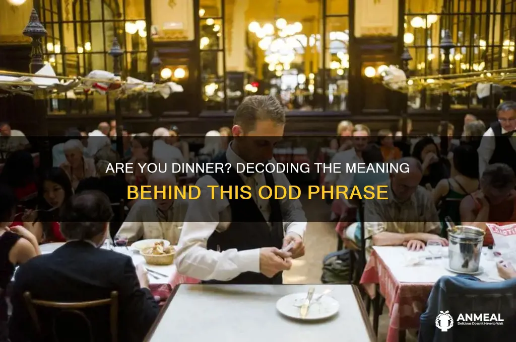 are you dinner meaning