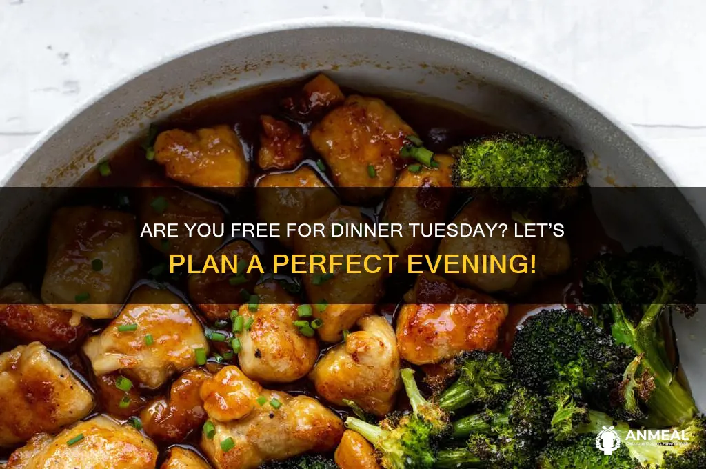 are you free for dinner tuesday