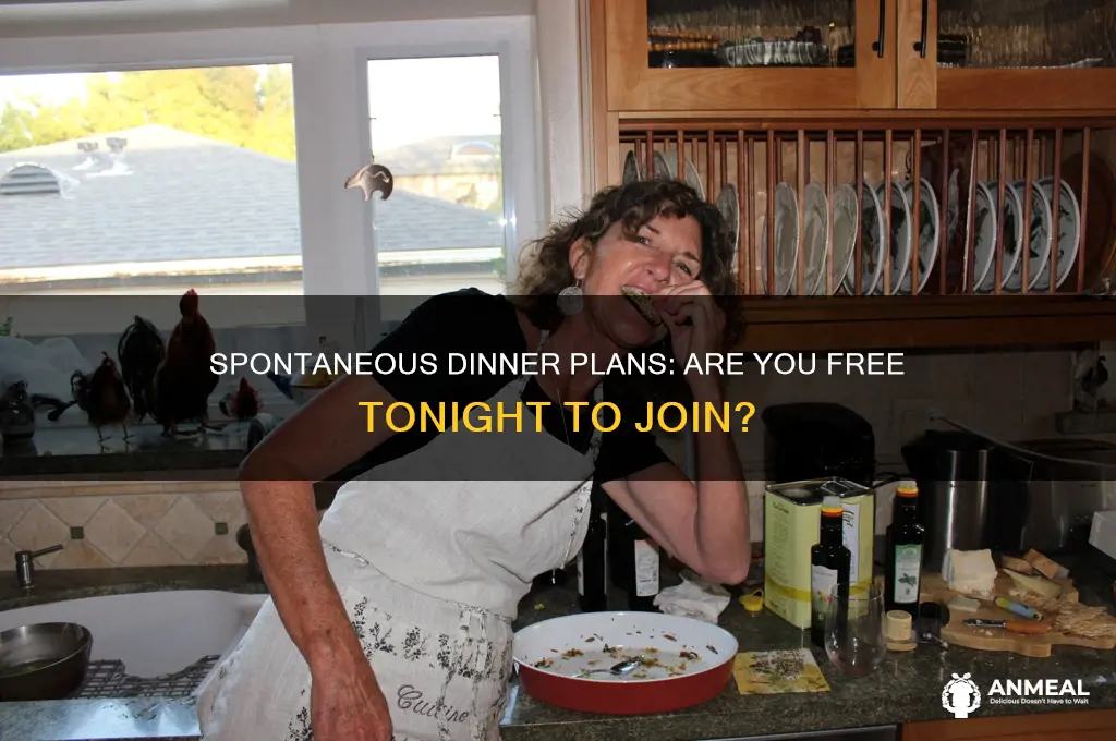 are you free tonight let