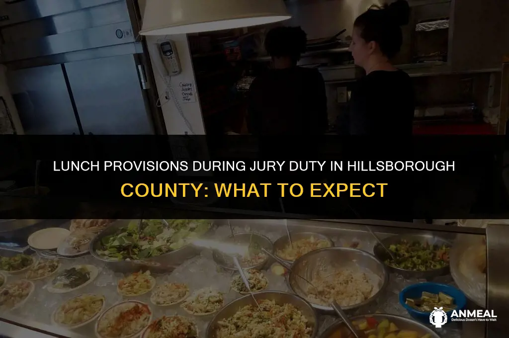 are you given lunch during jury duty hillsborough county