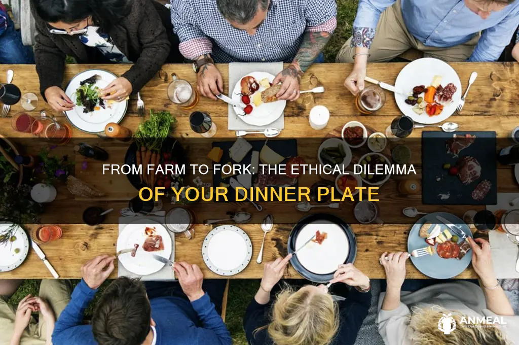 are you going to be on a dinner plate