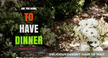 Dinner Plans: Are You Ready to Enjoy Tonight's Meal?
