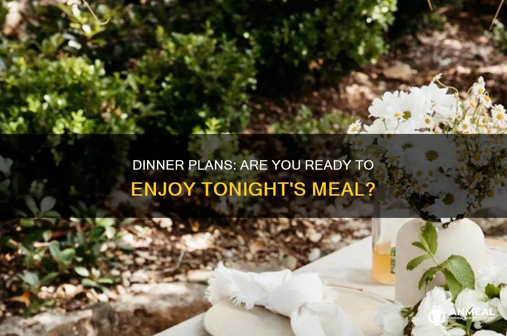 are you going to have dinner