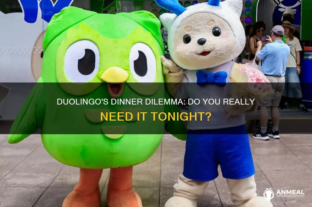 are you going to need it for dinner duolingo