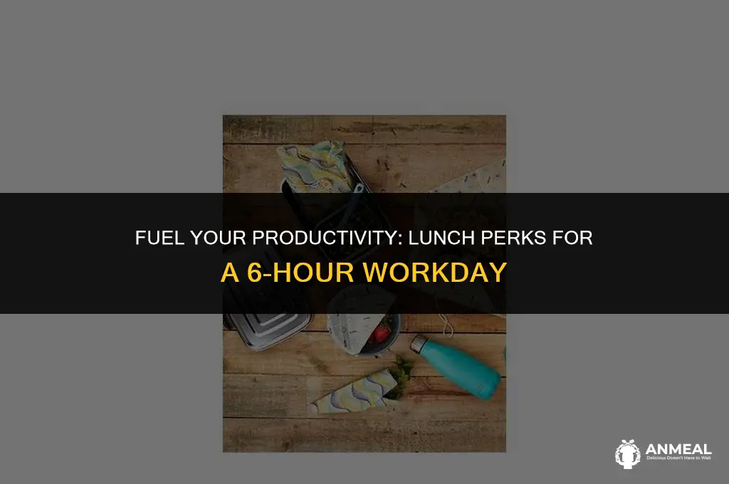 are you offer lunch for working 6 hrs