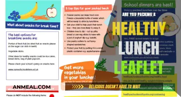 Leaflet Guide: Packing a Nutritious Lunch for Optimal Health
