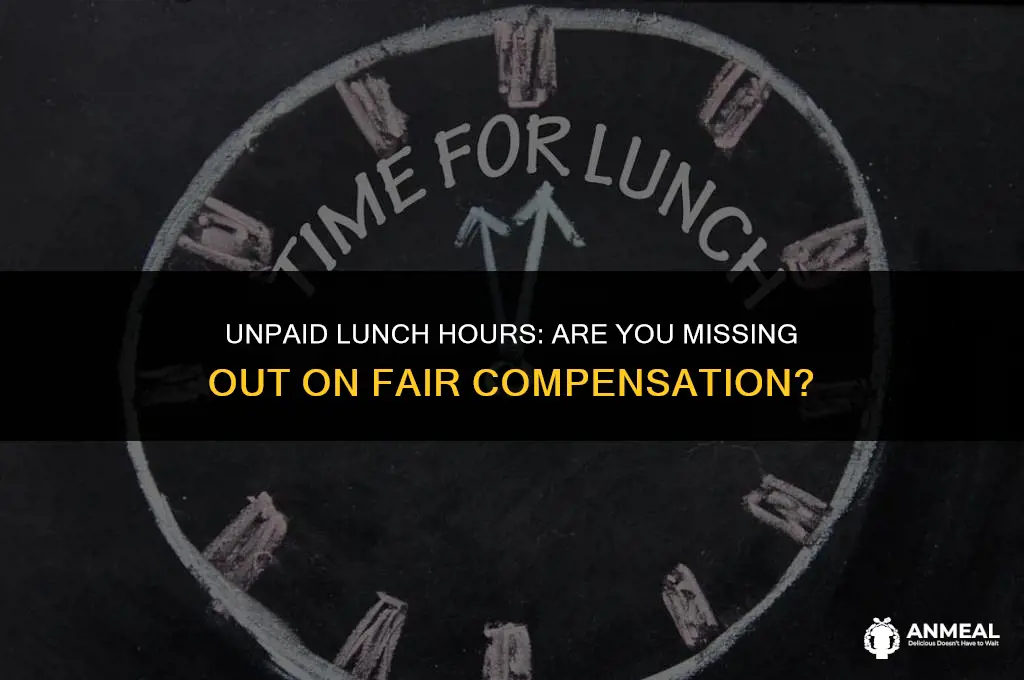 are you paid for lunch hours