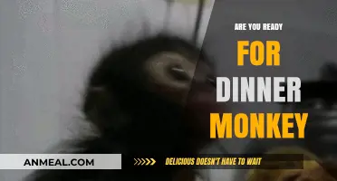 Are You Ready for Dinner Monkey? Exploring the Viral Trend