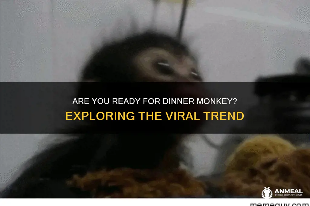 are you ready for dinner monkey