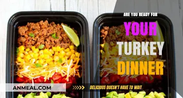 Savor the Season: Is Your Turkey Dinner Prep Complete?