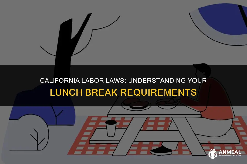 are you required to take a lunch in california