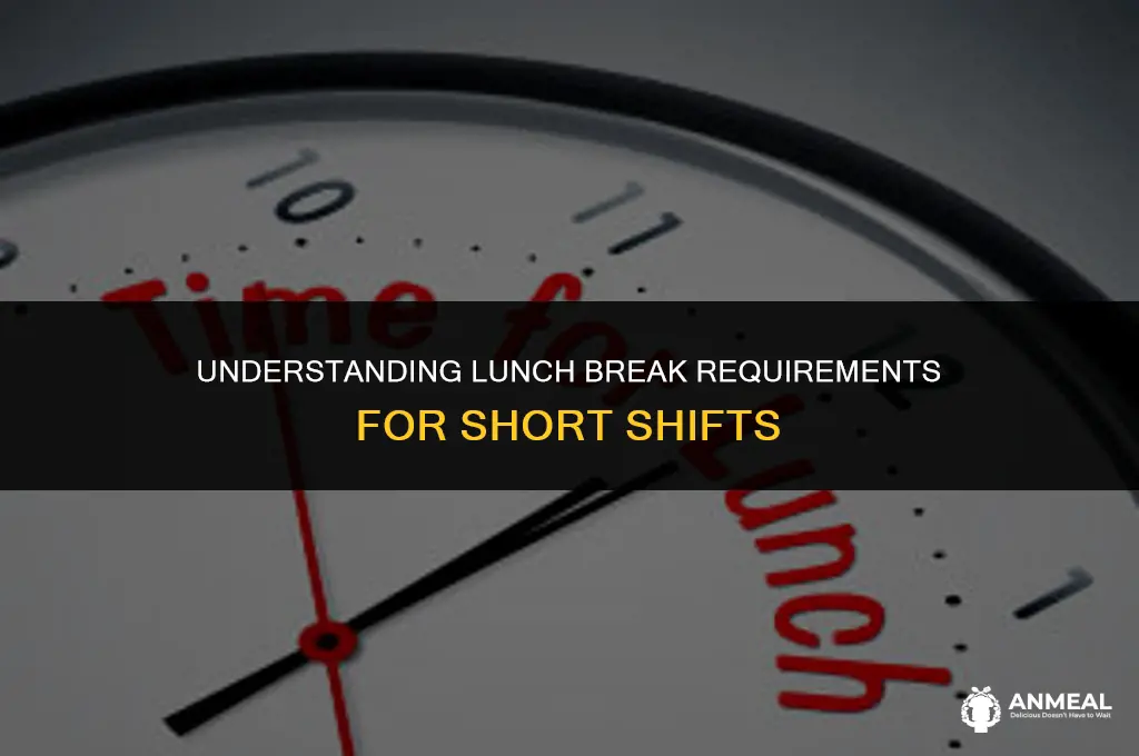 are you required to take lunch if under 6 hours