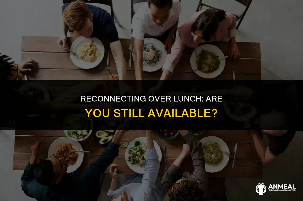 are you still available to have a lunch with me