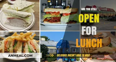 Are You Still Open for Lunch?" - A Guide to Finding Late Lunch Spot