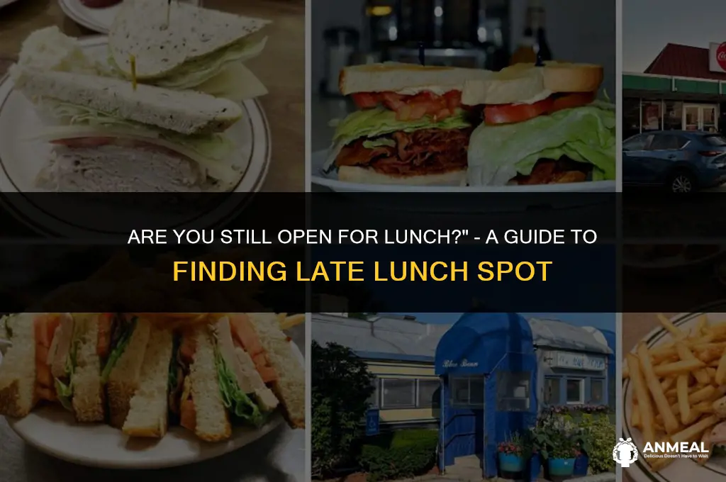 are you still open for lunch