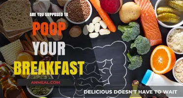 Morning Poop: Breakfast's Effect on Your Gut