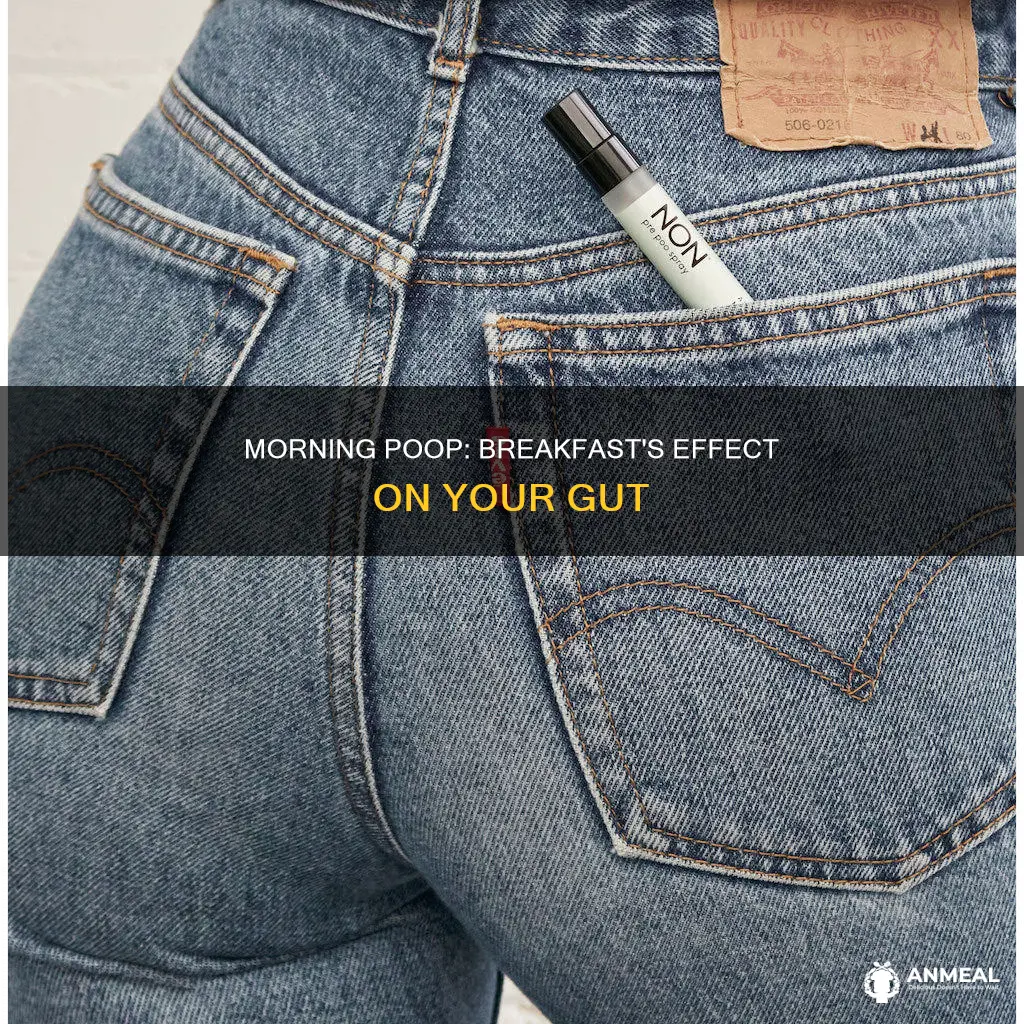 are you supposed to poop your breakfast
