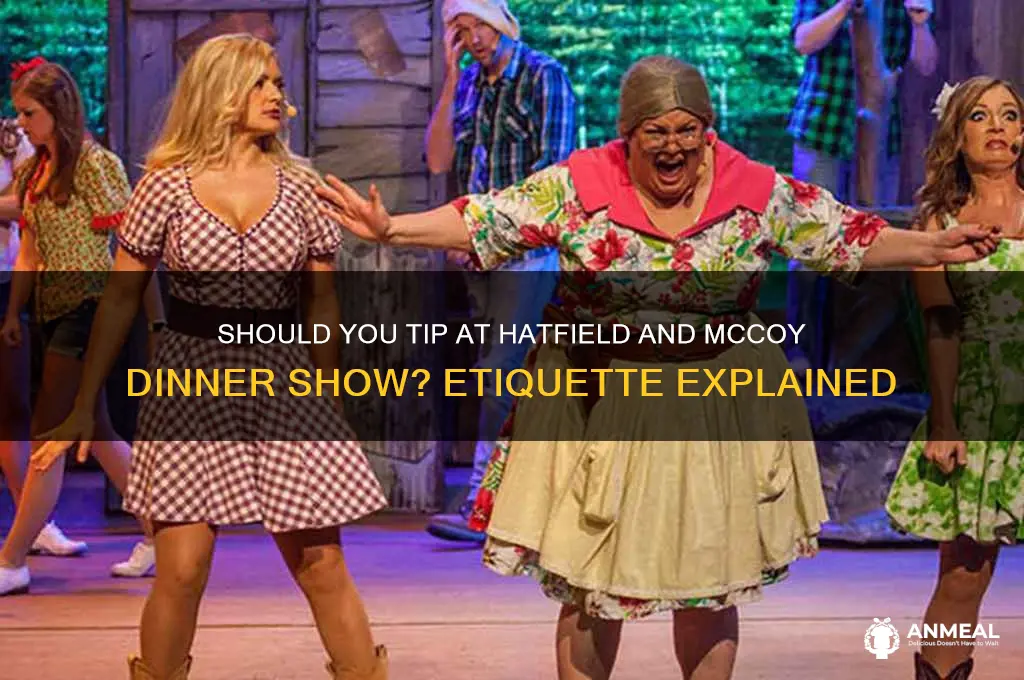 are you supposed to tip hatfield and mccoy dinner show