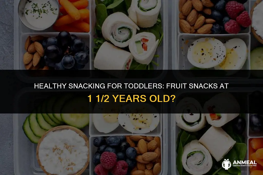 can 1 1 2 year old have fruit snacks