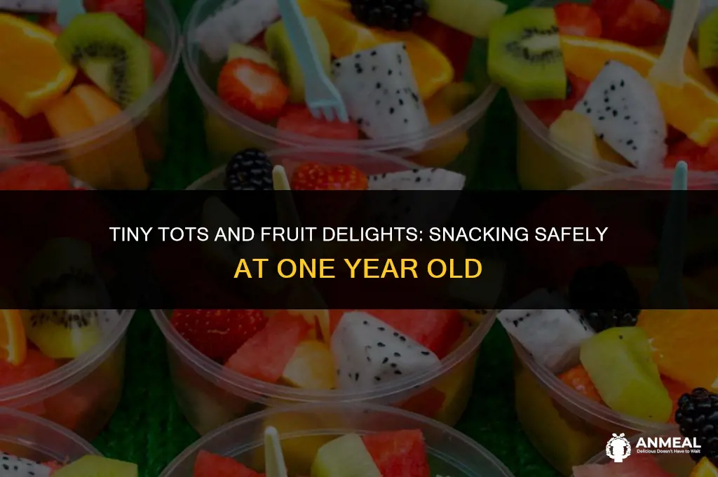 can 1 year old eat fruit snacks