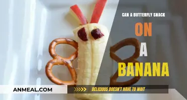 Delightful Discovery: Butterflies and Their Banana Snacking Habits