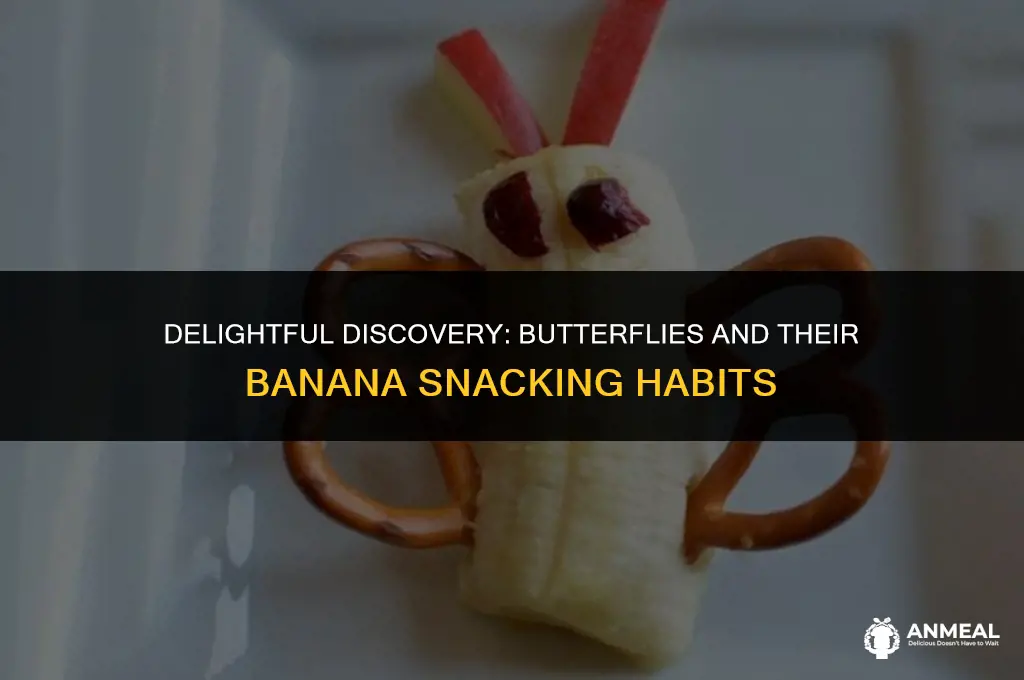 can a butterfly snack on a banana
