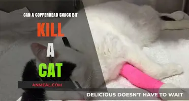 Copperhead Snakebite: A Deadly Threat to Cats?