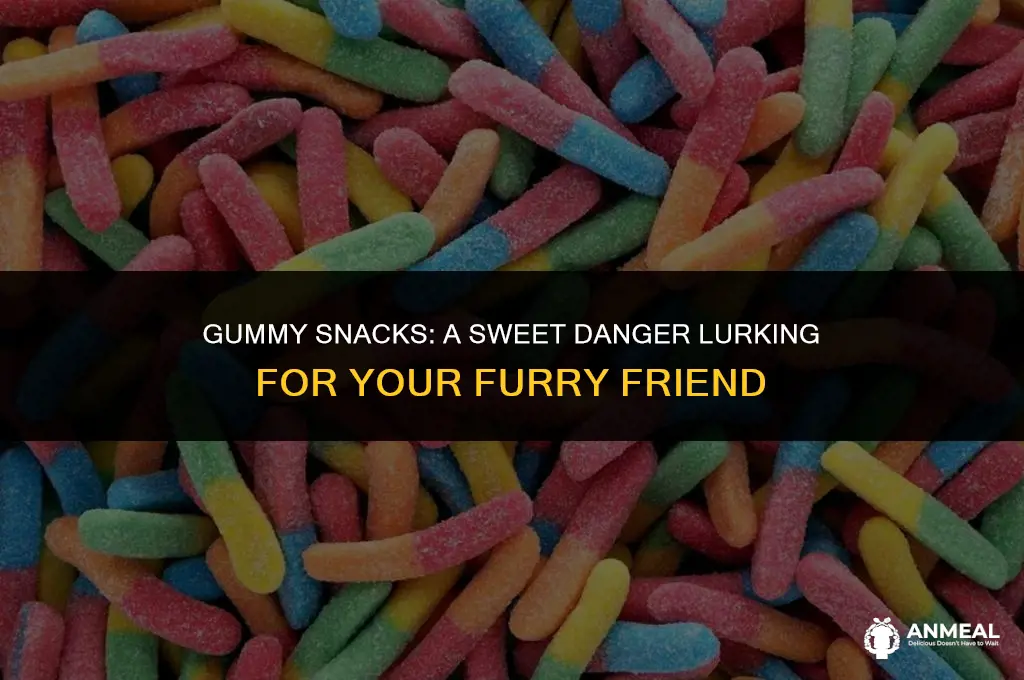 can a dog die from a gummy snack