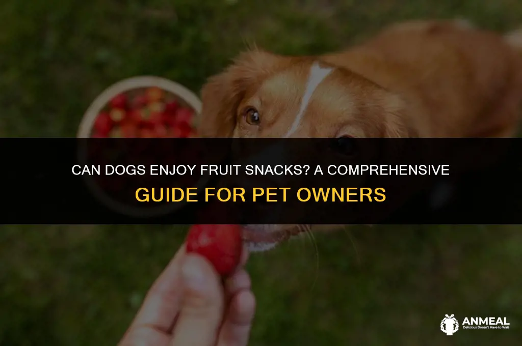 can a dog eat a fruit snack