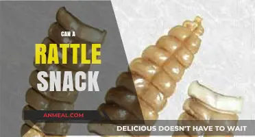 Can a Rattle Snack? Exploring the Surprising Truth Behind This Trend