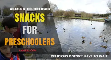 Exploring the Nutritional Benefits of Little Duck Organic Snacks for Adults