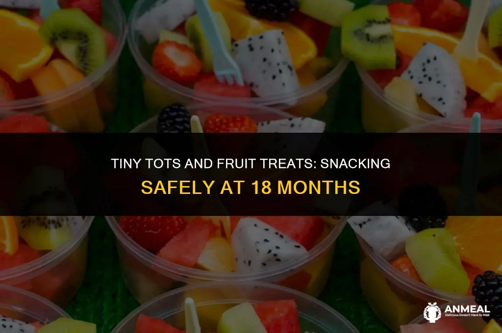 can an 18 month old eat fruit snacks