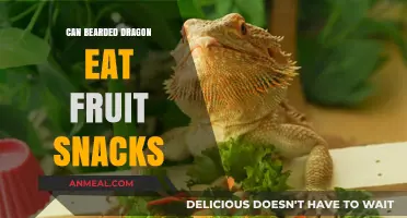 Can Bearded Dragons Enjoy Fruit Snacks? A Nutritional Guide