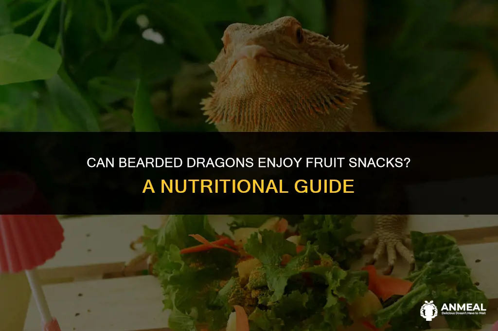 can bearded dragon eat fruit snacks