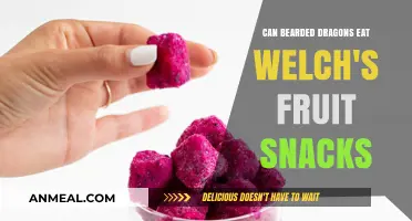 Can Bearded Dragons Enjoy Welch's Fruit Snacks Safely?